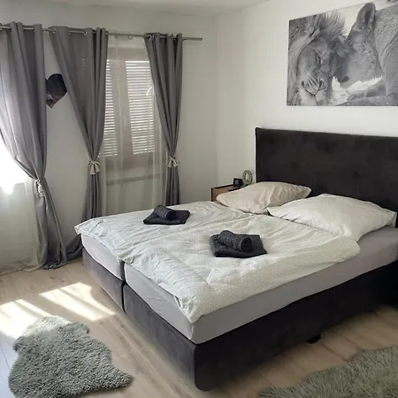 Haus In Laupheim - 6 Personen - Whirlpool - Garten - 3